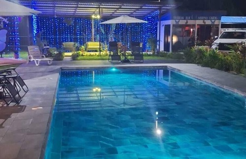 Cahuita Apartment | Caribbean Blue Morpho