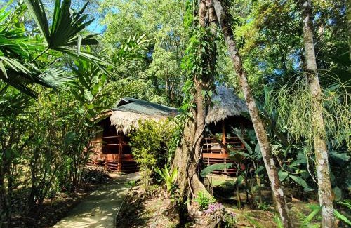 Cocles Hotel | Cariblue Beach and Jungle Resort