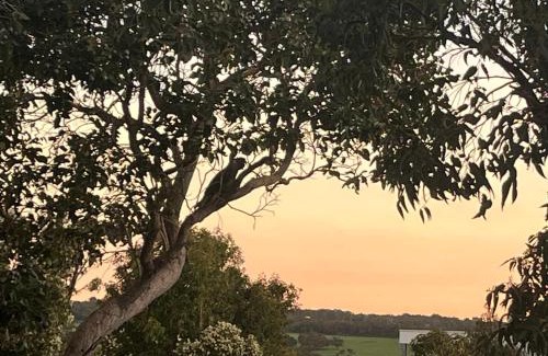 Eagle Bay House | Carnarvon Castle Eagle Bay