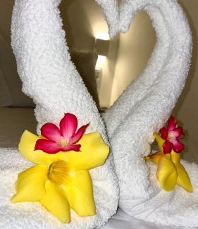 Piranhas House | Caroá Piranhas Suítes