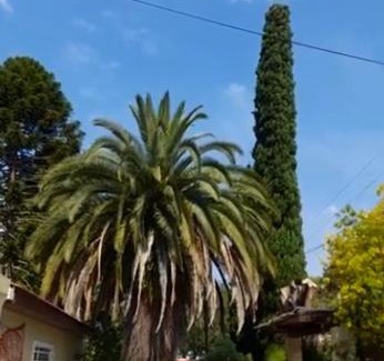 Manuel B. Gonnet Bed & Breakfast | Carpe Diem Gonnet