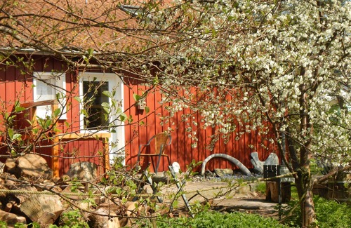 Vitte Apartment | Carpenter's house - Apartment carpenter's house