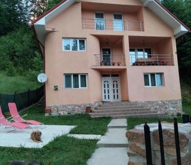Albac House | Casă de vacanță Lidia
