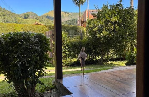 Nova Friburgo House | Casa Aconchegante em São Pedro da Serra