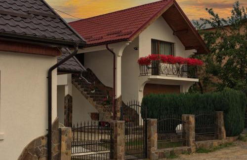 Ocna Sugatag House | Casa Ade