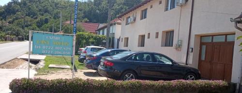 Eselnita House | Casa Adelin