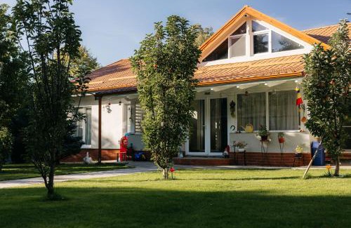 Recea House | Casa Alexandru
