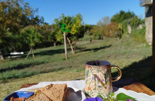 Tui House | Casa bandulu, charming and sustainable rural house next to the Miño River