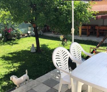 Orastie House | CASA BARZA