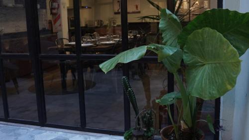 Palermo Apartment | Casa basilico, ideal para grupos hasta 18 personas, Palermo