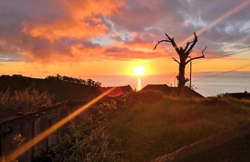 Lombada Velha House | Casa Benedita