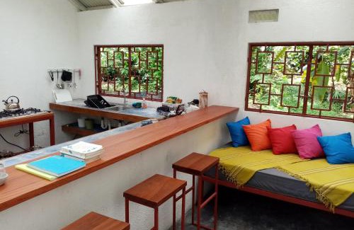 Dos Brazos House | Casa Bolita