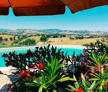 Castelleone di Suasa Apartment | Casa Bozzo, appartement 'Stalla'