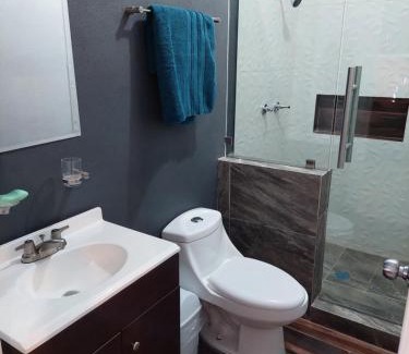Ciudad Guzman Apartment | Casa Camichines