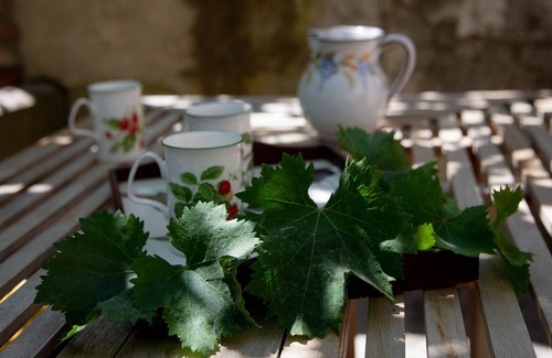 Polizzi Generosa Apartment | Casa con Giardino interno nel cuore delle Madonie by Wonderful Italy