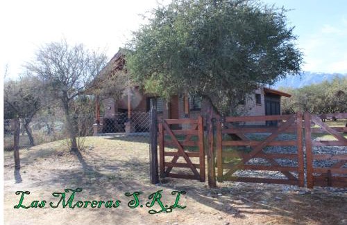 Merlo House | Casa Crisolito