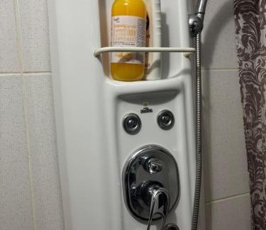 Alba Iulia House | Casa cu brad