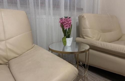 Alba Iulia House | Casa cu brad