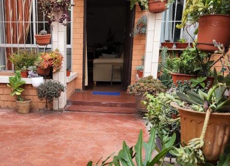 San Borja House | Casa Cultura II