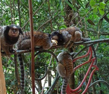 Ibicoara House | CASA DA MATA descanso e sossego na natureza