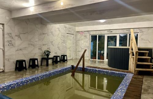 Ocna Sugatag House | Casa Daiana