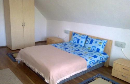 Covasna House | Casa Dancs