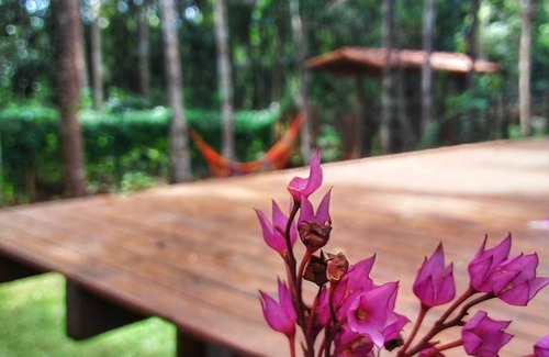 Itacare House | Casa de Dora Itacaré