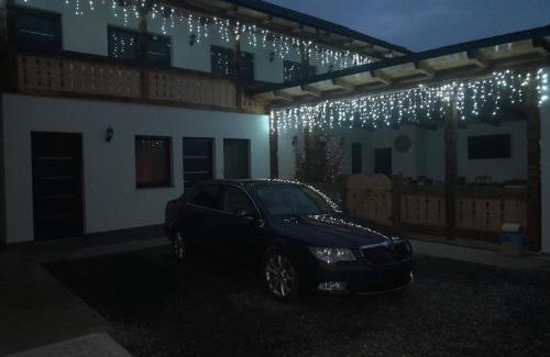 Sighetu Marmatiei House | Casa de lângă pădure