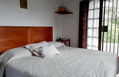 Yerba Buena Bed & Breakfast | Casa de las Palmeras