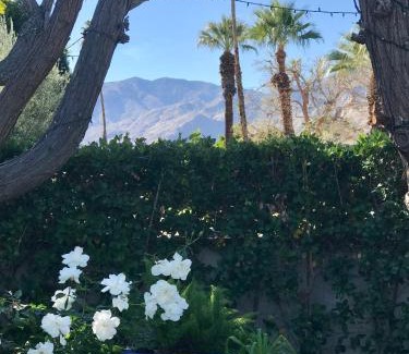 Palm Springs House | Casa De Vito