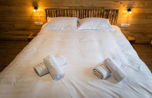 Toplita House | Casa Delia Toplita