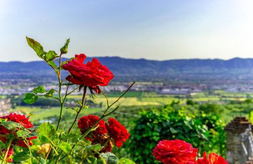Montemurlo Apartment | Casa delle rose
