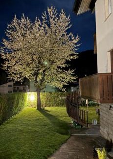 Pieve di Cadore Apartment | Casa di Tea