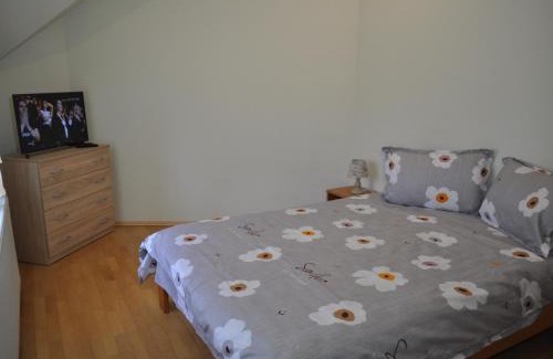 Avrig Apartment | Casa Diu