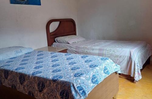 Sao Pedro da Serra House | Casa do alecrim