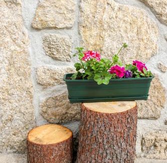 Sortelha House | Casa do Avô