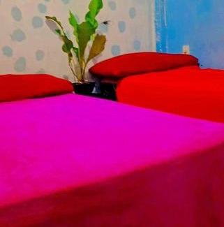 Salvador House | Casa do Borges Oṣun