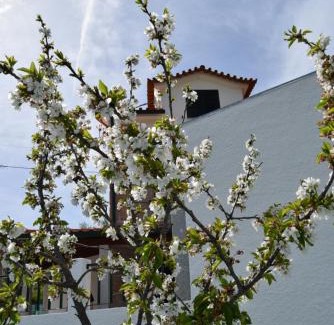 Gouveia House | Casa do Chão do Ribeiro