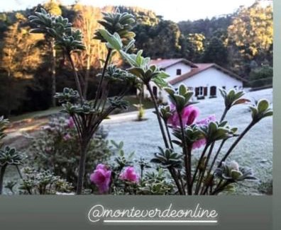 Monte Verde House | Casa Do Sol Nascente