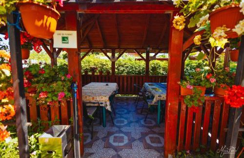 Sfantu Gheorghe House | Casa Dochia