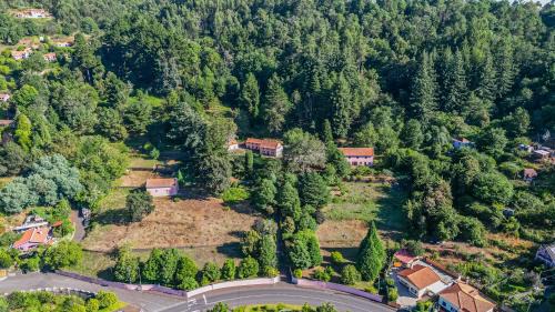 Camacha House | Casa dos Castanheiros