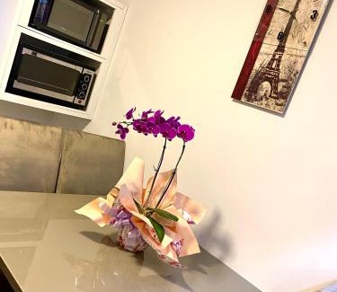 Barra House | Casa em Balneário Camboriú