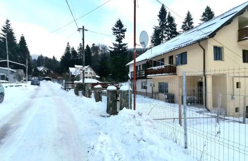 Busteni Villa | Casa EMY Busteni