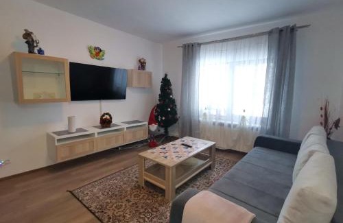 Busteni Villa | Casa EMY Busteni