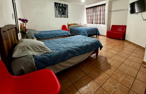 Ciudad Hidalgo House | CASA ENTERA PURA VIDA!