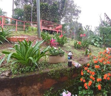 Canton Tarrazu Cabin | Casa entre la naturaleza