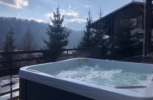 Azuga Villa | Casa Ferica