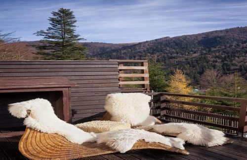 Azuga Villa | Casa Ferica