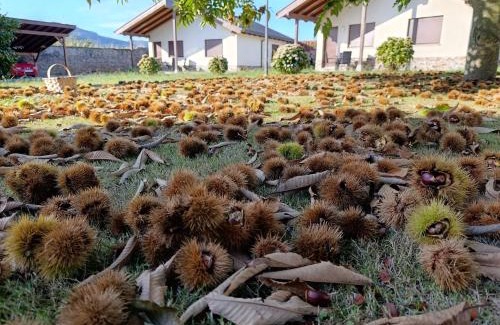 Pinera House | Casa Fonso