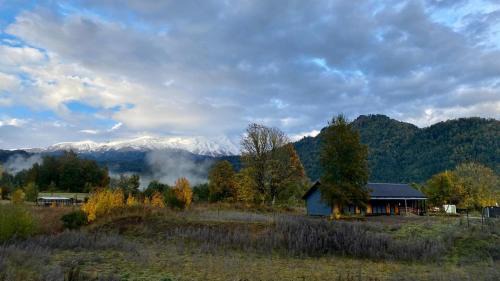 Neltume Bed & Breakfast | Casa Huilo Hostal